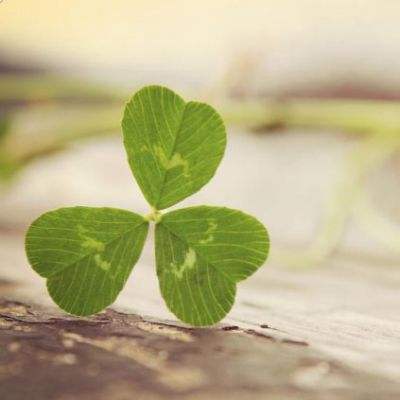 幸运快3在线官网